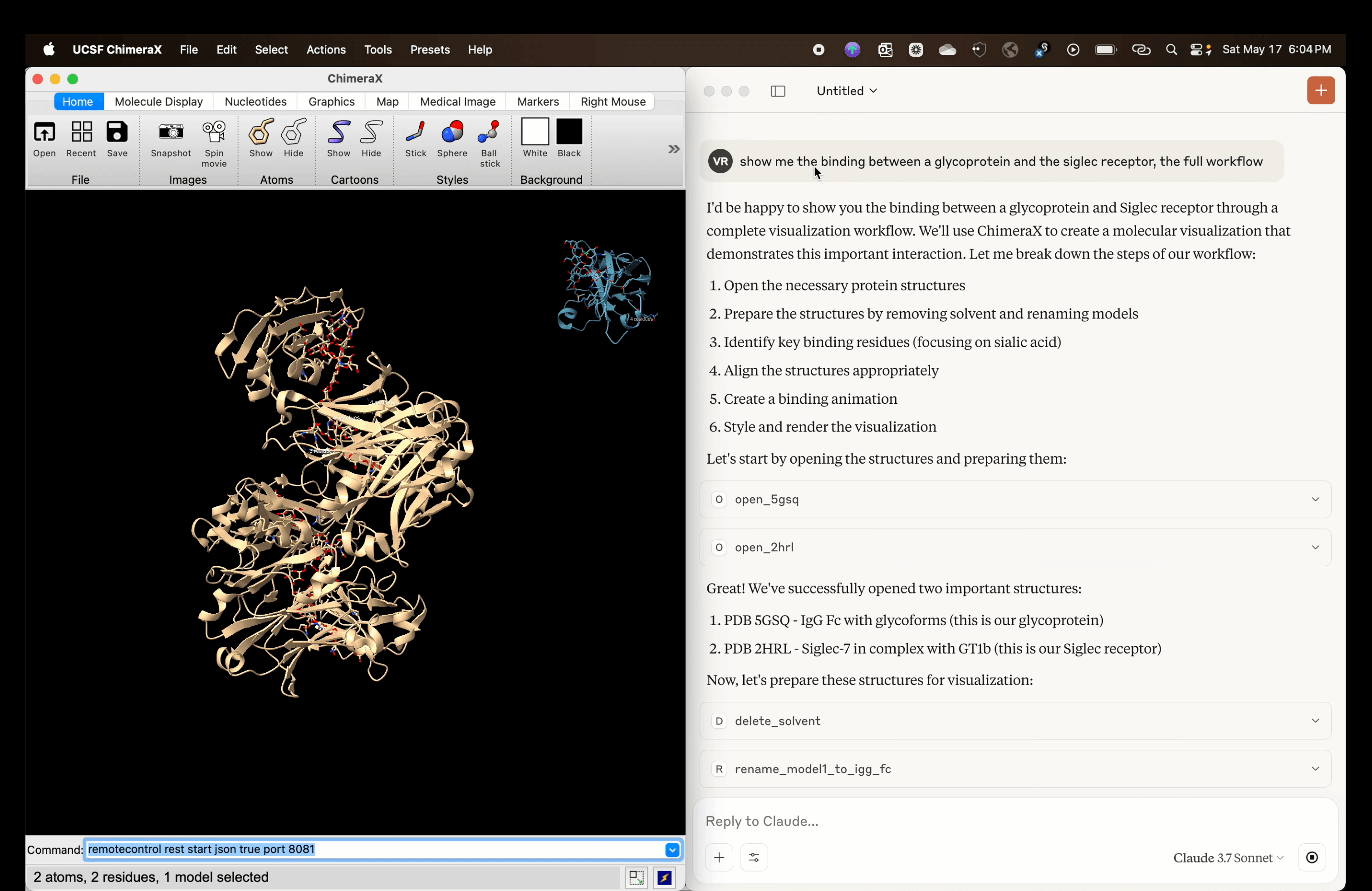 Protein visualization